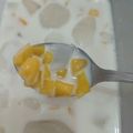 Cooksnap dari Dapur Emak Noyya👩‍🍳 untuk resep Es Nangka