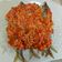 Cooksnap dari eva meylani untuk resep Ikan Kembung Balado nya Mom Ndut🤤🤤