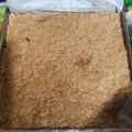 Cooksnap dari Putriwira Lestari untuk resep Wajik Ketan Legit Gula Jawa