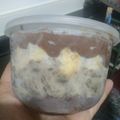 Cooksnap dari Ana Rofik untuk resep Dessert Box Brochore (Brownies Choco Oreo)