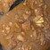 Cooksnap dari Wiwid Gucci untuk resep 39.) Semur Hati ayam