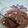 Cooksnap de gilles stochement sur la recette Mousse au chocolat