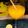 El cooksnap de Maurice Colmener cuando hizo Zumo de naranjas "valencias", con jengibre, canela y miel 🍯. Y limón 🍋!!.