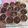 Cooksnap dari Maminya Elvern untuk resep Muffin Cokelat
