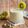Cooksnap dari dpmentari untuk resep 27. Jus Kiwi Segar