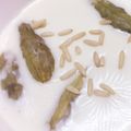صورة من Naya Sy، شاركها بعد تجربة وصفة كوسى بلبن