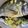 Adhi Wiee's cooksnap of when they made Steamed whole sea bream with oyster sauce.