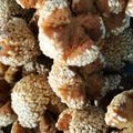 Cooksnap dari Itsnani Rhamadanty untuk resep Onde - Onde Ketawa Anti Gagal (Takaran Sendok)
