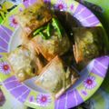 Cooksnap dari ervina untuk resep martabak telor mini praktis