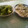 El cooksnap de Becky cuando hizo Pescadilla con queso fresco a las hierbas provenzales.