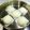 Ho Weining 的 老麵白饅頭 cooksnap