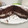 El cooksnap de Rafricana cuando hizo Pastel de chocolate relleno con crema de coco.