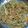 Subhasree Santra's cooksnap of when they made ঝটপট ভেজ চাউমিন(Jhotpot veg chowmein recipe in bengali).