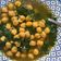 El cooksnap de Lenniss cuando hizo Garbanzos con espinacas.