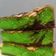 Cooksnap dari Henny untuk resep Bolu pandan keto