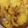 Krishna Sharma's cooksnap of when they made Tinde ki sabji.