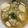 รูป Cooksnap ของ A Lady Named Fern เมื่อเขาทำ แกงจืดผักกาดขาวหมูก้อนวุ้นเส้นเต้าหู้ไข่