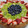 El cooksnap de Melisa Oggero cuando hizo Tarta de frutilla con pastelera.