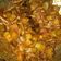 Cooksnap dari Dian Puspita untuk resep Terong teri balado