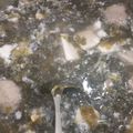 yuen 的 海帶芽豆腐湯 cooksnap
