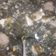 yuen 的 海帶芽豆腐湯 cooksnap