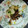 El cooksnap de JOSE CARLOS DARIES cuando hizo Calamares con patatas y pasas de uva al ron.