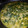 El cooksnap de 👨‍🍳▪️Trecedelmar▪️👩‍🍳 cuando hizo Arroz empedrado con acelgas.