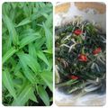 Cooksnap dari Ulya Nada untuk resep Oseng-oseng Kangkung
