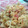 El cooksnap de Claudio-Caro Tango cuando hizo Pasta Arrabiata Light.