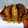 El cooksnap de Hilario Martin cuando hizo Patatas hasselback.