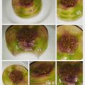 Cooksnap dari Dian91926 untuk resep Pudding Jelly Art Flowers