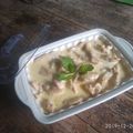 Cooksnap dari Febriana K. P. untuk resep Chicken Stroganoff
