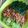Cooksnap dari Dhewi Susanti untuk resep Pokcoy Daging Gilling
