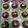 Cooksnap dari Mamah Fadhlan untuk resep Blackforest Mini kukus🍒 | Bolu kukus Blackforest
