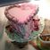 Cooksnap dari Mama AL untuk resep Italian meringue butter cream