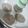 El cooksnap de Ori cuando hizo Hamburguesas vegetarianas de espinaca! (Saludables) MUY Fáciles.
