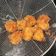 Cooksnap dari Suci Widya untuk resep Udang Goreng Keju, Renyah