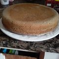 El cooksnap de logranmarcela cuando hizo Bizcocuelo rápido y fácil 1234 🍰.