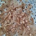 Cooksnap dari Niung Niung untuk resep RemPeyek kacang renyah