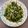 Yen 的 沙茶炒空心菜 cooksnap