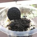 Cooksnap dari Ummxaziza untuk resep 🍰Energen Oreo Cheese Cake🍰