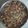 Shilpa Kikani 1's cooksnap of when they made ખજૂર ડ્રાયફ્રુટસ પાક (Khajoor Dryfruits Paak Recipe In Gujarati).