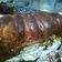 El cooksnap de gladys cuando hizo Matambre relleno al horno.