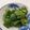 Psyche Chang 的 炒青椒 cooksnap