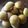Fatema Burhani's cooksnap of when they made Vitumbua#CoastalCoconutRecipeChallenge.
