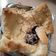 Cooksnap dari Indah Lestari untuk resep Egg Tart Roti Tawar