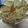 Chhaya Vipul Agarwal's cooksnap of when they made Cabbage Paratha.