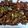 Cooksnap dari NerissAudyta untuk resep Bulgogi (Korean Beef BBQ)