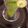 Barnali Debdas's cooksnap of when they made Tulsi Water (Holy Basil / Indian Basil).