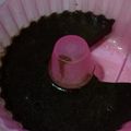 Cooksnap dari essy novita sari untuk resep Puding Katuk Cokelat